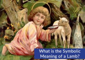 What is the Symbolic Meaning of a Lamb?