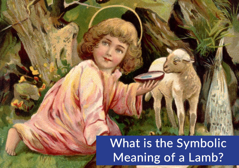 What is the Symbolic Meaning of a Lamb? Using Grace Points for Release